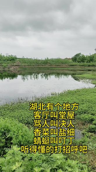 #农村日常生活 #创作者中心 #创作灵感 湖北有个地方,客厅叫堂屋,骂人叫决人,香菜叫盐细,蜻蜓叫叮丁,听得懂的打招呼吧。#湖北农田