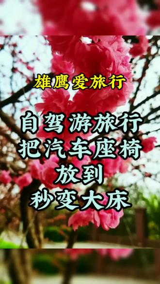 自驾游旅行,怎么把汽车座椅放到,秒变大床#自驾游中国 #自驾游 #自驾游攻略 #自驾游风景 #自驾游装备 @抖音小助手 @DOU+小助手