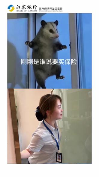 🐭负鼠表情包之🏦银行打工人#江苏银行#经开区#负鼠表情包#打工人#鼠鼠我啊