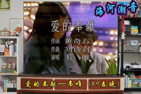 89春晚,韦唯的《爱的奉献》唱哭全场