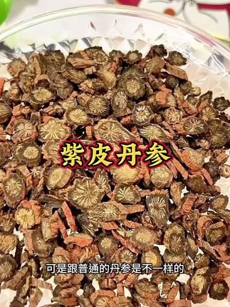 紫皮丹参#发汗丹参#精选丹参片#