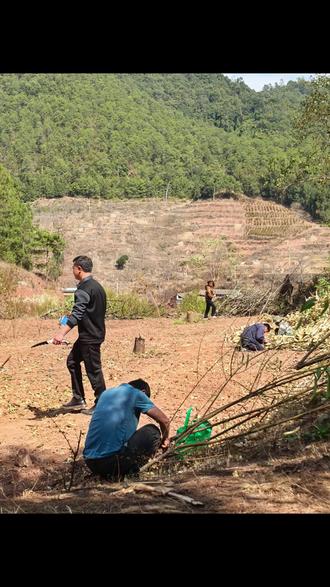 2026龙马🐎精神,万事胜意,马年上上签!