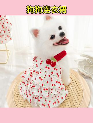 #狗狗连衣裙 棉质宠物狗狗猫咪连衣裙层层蛋糕裙衣服用品小中型犬夏季透气连衣#狗狗衣服#夏季狗狗衣服 #狗狗透气衣服 #狗狗裙子