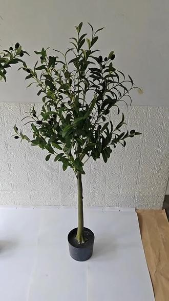 拆分款橄榄树#仿真 #仿真植物