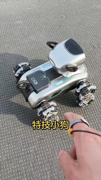 还没学会怎么玩#特技小狗 #玩具 #玩具狗