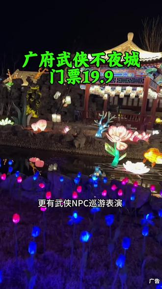 快抢!第一波19.9门票!广府武侠不夜城!#灯会 #过年去哪玩 #广府古城 #广府武侠不夜城