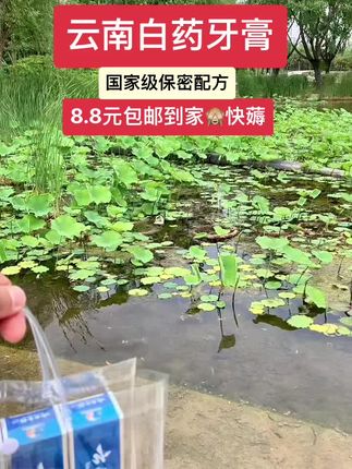 云南白药牙膏,国家级保密配方!中华老字号!!!8.8元包邮到家!刷到的宝千万不要错过,赶紧屯!#牙膏 #云南白药牙膏 #生活必备#牙膏推荐 #强烈推荐
