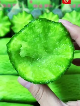 水果萝卜种子潍青萝卜种籽脆甜优良萝卜秋季农家四季蔬菜种孑大全#水果萝卜种子 #萝卜种籽 #脆甜萝卜#四季蔬菜种子 #四季种子