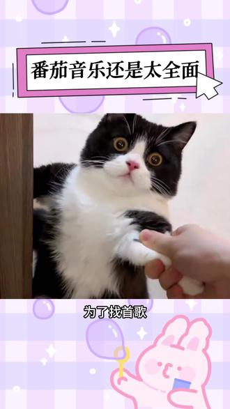 #番茄音乐 为了找一首歌没招了