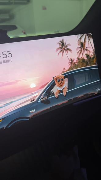 理想这么可爱的宠物动态屏保,还有车友不会设置吗?#理想汽车#理想l6#理想i6 #dou是好车 #黑武士