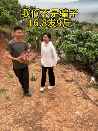 #凯特芒果