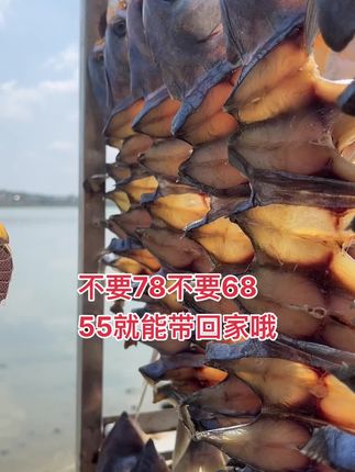 沙扒湾网红金鲳鱼干,你们吃过吗?#优质农产品 #源头好生鲜 #渔民生活实拍