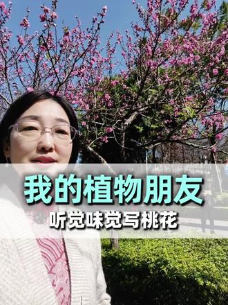 听觉味觉描写桃花 #五感法写作文 #五感法 #桃花#植物朋友