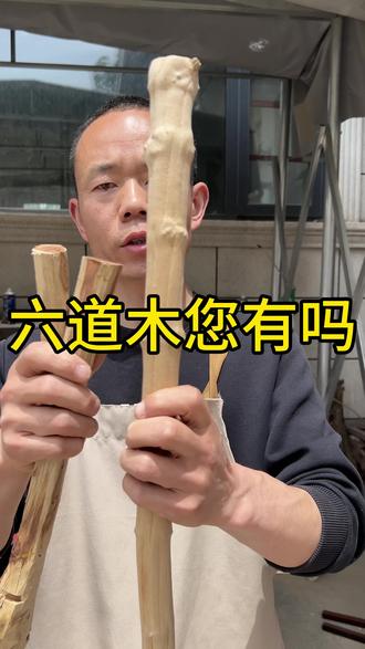 粉丝邮寄来六道木和黄花梨,看如何制作手串 六道木有他独特的纹理,黄花梨有股香甜味花香味,颜色纹理都不错,看看制作过程吧#文玩手串 #手艺人 #万物皆可盘 #匠心制作