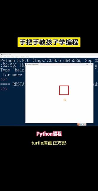 Python编程用turtle库画正方形 #python编程 #科技特长生 #白名单比赛