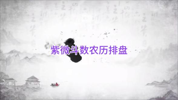 紫微斗数农历排盘#紫微斗数 #易经文化 #倪海厦