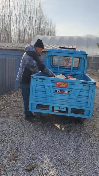 冬日暖阳下,为小兔子搭建一个温暖的家。蓝色的车,承载着满满的爱与期待。🌿🐰 #给兔子搭个小窝 #温馨时刻