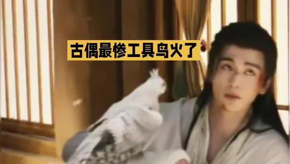 古偶最惨工具鸟火了