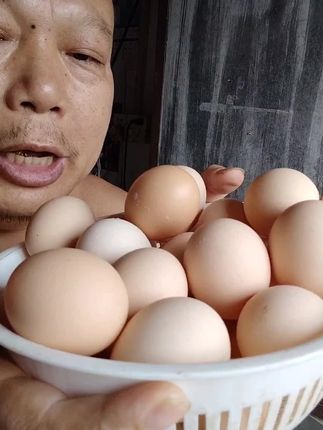 山林散养土鸡蛋,一单50玫,现捡现发,臭蛋包赔,不吃饲料,大家带一单回家尝一尝#山林散养土鸡蛋 #鸡蛋 #助力三农 #优质农副产品