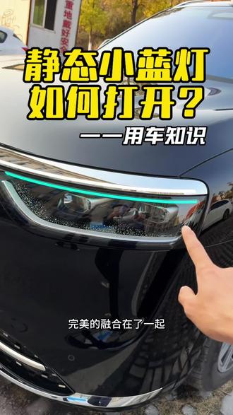 问界M8的智驾小蓝灯在车辆静止状态下怎么打开和关闭,一个视频讲清楚#问界 #问界新m7 #问界m8 #问界m9