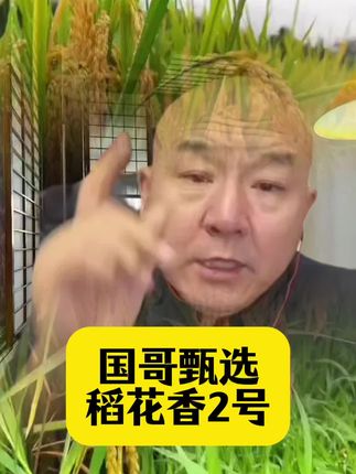 #大米 #稻花香大米 #东北大米就是香 #五常大米 #冷水大米