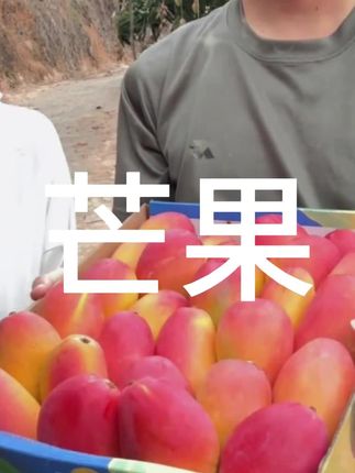 #芒果 #贵妃芒