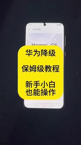 华为降级教程,鸿蒙降级#手机维修 #鸿蒙os #降级系统