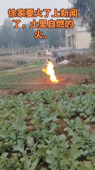 徐家要火了上新闻了,田里自燃的火。