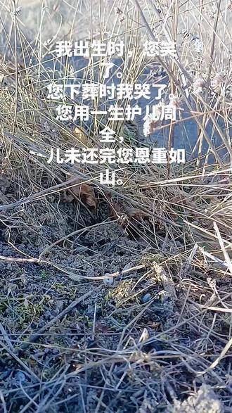 我出生时,您笑了。那是您成为一个父亲的喜悦。
您下葬时,我哭了,那是我未还完父亲的恩重如山。
爸爸,您是我生命里最重要的人,如今您已经跨鹤西去,与世长辞。儿在这岁月的长河中泅渡。每一步泛起的脚印,都是儿对您的苦苦思念。
回想那些有您在世的幸福日子,如一幅细腻的画卷,每一笔都能勾勒出您慈爱的笑颜。每一处都是您温暖的怀念。儿在这美好的画卷中徘徊万千。试图触摸您曾经慈爱的容颜,
爸爸,在那不远的地方深埋着您风雨雪霜洗礼了八十三载的身躯。儿沿着您曾经挥汗如雨耕种的田间,脚下的每一寸土地里好像还残留着您往日的容颜。泪眼朦胧的远处仿佛看到您勾娄劳做的影姿。幻影尽失,泪流满面。只留下我一人在这荒野独自远瞻。爸爸,儿子太想您了。父子最终都有一别。您的离世让儿失去了一片的天。您把您脾气暴躁倔犟的儿子撇在了世间。没有您的日子里。儿怀念您在世时,疼儿,护儿点点滴滴。细数着五十多年里您与儿走过的每一年每一天,您长眠与山间,儿想您岁岁年年。
锥心刺骨的疼,撕心裂肺的哭。在也唤不醒爸爸您应儿的呼唤。想您的心,走在天涯海角也不会停下。这道煎熬的坎,余生得煎熬的跨。思念将伴儿走完这一生艰难的历程。
爸爸,您我于1972年农历3月21日春暖花开的日子里相见。此生何其有幸被您疼爱55载。护儿一路平安。
2025年农历腊月11日晚11点11分您与世长辞。走完了您辛苦平凡的一生。儿未还完您一世的恩重如山。
七七四十九天,儿每一日都在熬煎。唯愿您一身轻安,去往无忧无病之境。佛光无量🙏🙏🙏即得往生🙏🙏🙏