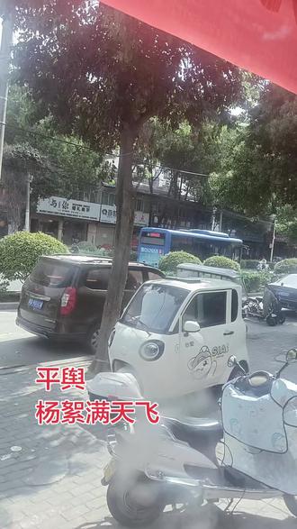 平舆同城的,哪里没有这个杨棉 #平舆##本地生活 #乡镇