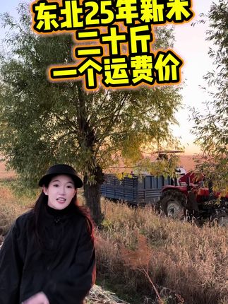 #粮农膳稻 2025新米上市!绿色食品,东北长粒香米。新米限时福利价,口感软糯香甜。健康天然好大米,福利数量有限!快快点击小黄车吧!#长粒香 #东北大米 #东北通河大米最好吃 #绿色食品