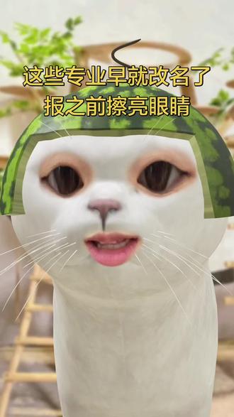 这些专业早就改名了 报之前擦亮眼睛
#高考#高三#志愿填报#高考志愿#问问大象