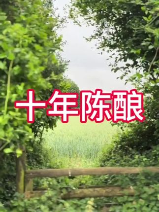 #白酒 #中老年宝藏单品 #好喝不贵 #无限回购的宝藏单品 #粮食酒
