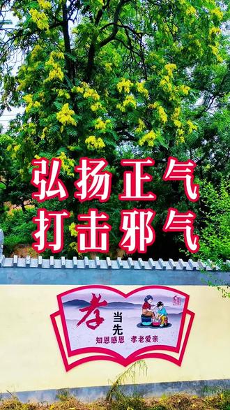#创作灵感 #玄学真相
宜君县咀头村的童年,深深烙印在记忆深处。村东头和西头各有一棵老桑树与老槐树,曾经,它们是孩子们的欢乐天地。如今,当年在树下玩耍的孩子已年过六旬,对这些 “守护神树” 依旧满怀敬畏与感激。
然而,从去年开始,村东头的桑树和老槐树渐渐枯萎。其中,老槐树没能挺过去,彻底枯死了。究竟是寿数已到,还是有人蓄意破坏,不得而知。万物皆有灵,人类理应敬畏每一个生命,与世间万物和谐共生。
村子里的风气也令人担忧。一些人为了私利毫无底线,不仅恶语伤人,还随意挪动界石,耕种他人的耕地,肆意侵占别人的财产。如今,村子里恶人横行,欺软怕硬,仿佛没有法律法规,正义和道德也荡然无存。多年来,有人明明知道古树枯萎的原因,却都秉持 “多一事不如少一事” 的态度,这使得恶人越发肆无忌惮、得寸进尺,甚至为富不仁。
此刻,正是槐花盛开的时节,可东西两头树木的长势却有着天壤之别。西头及村里其他树木都枝繁叶茂,而东头的槐树却病恹恹的,濒临死亡。
真心希望咀头村的乡亲们能够早日觉醒,不要再纵容这些歪风邪气和无赖行径。大家要守护好古树,捍卫村里的正气。要知道,邪不压正,善恶终有报,切不可因一时恶行而遭受反噬。当村子出现问题和不公时,一定要积极解决,维护正义,而不是一味地将问题压制下去。否则,只会让恶人和无良之徒更加肆意妄为、得意忘形。