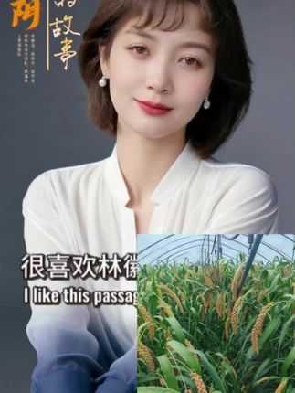 您若信任 我定真诚