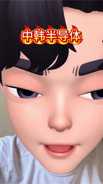 中韩半导体#韩国股市#熔断#股市#半导体#ai