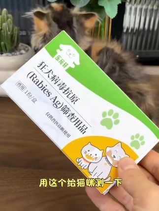 夸孩子也是一门学问要用对方式,不然只能适得其反#亲子教育#育儿#家庭教育#父母课堂#干货分享