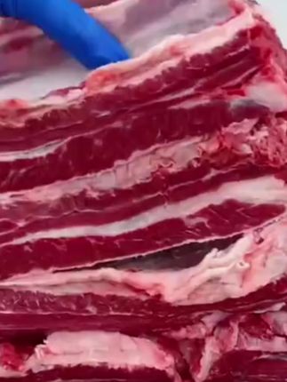 天海藏安格斯牛肋条去骨原切纯肉牛肋排 巴西进口 #安格斯牛肉美食 #巴西进口美味 #牛肋条料理 #家庭烧烤好食材