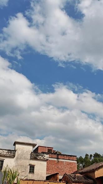 三个人的情人节#广播剧 #好剧推荐 #因为一个片段看了整部剧