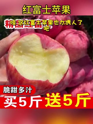 红富士苹果 坏果包赔 买5斤送5斤 脆甜多汁 多仓发货