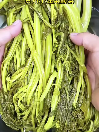 这就是我们家乡的小油菜酸菜,不管你是拿来煮豆米炒肉末凉拌,吃起来酸脆又爽口,真的太香太下饭了。#贵州小油菜酸菜 #无盐酸菜 #脆嫩爽口 #好吃到停不下来 #妈呀太香了