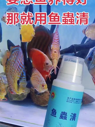 要想鱼养得好,那就用鱼蟲清#鱼虫清 #轻松养鱼 #养鱼人 ##水族爱好者 #养鱼日记