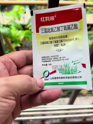 来,给大家展示下这个除草剂,真的好用,藤蔓,小灌木无处遁形#新农人计划 #除草剂 #三氯吡氧乙酸 #助农