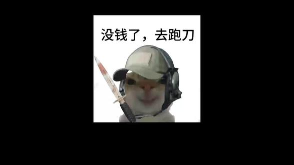 为什么三角洲鼠鼠文化要消失了? #三角洲 #三角洲代杆 #跑刀 #三角洲行动