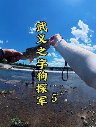 #军鱼路亚 军鱼顶级玩家梦寐以求的路亚鱼种,还未解锁过的小伙伴赶紧出发吧