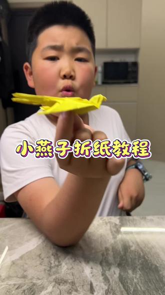 这个小燕子折纸有点难度,一般人不一定能学会。#真实生活分享计划 #爱折纸的小男孩 #儿童玩具折纸教程 #儿童折纸教学 #小孩折纸教程