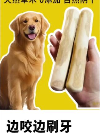 咖啡木磨牙棒真耐啃!#狗狗不磨牙会怎么样 #狗狗多大开始磨牙 #磨牙棒 #萌宠好物 #养狗小知识