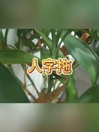 #人字拖 #拖鞋 #橡胶人字拖