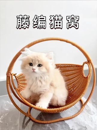 #猫咪吊篮#秋千造型水果篮#简约复古可爱收纳摆件纯手工编织仿藤摇篮#秋千水果篮#好物推荐🔥~