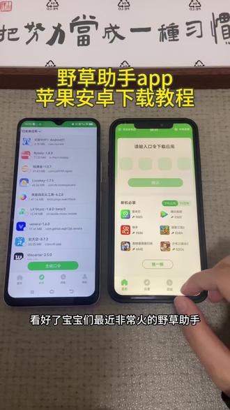 《初初资源》野草助手app苹果安卓下载教程#野草助手 #野草助手怎么下载 #野草助手手机版 #野草助手使用教程 #野草助手口令